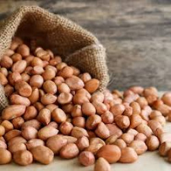 Brown Penuts