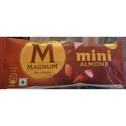 Kwality Walls Magnum ice cream Mini Almond