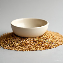 Pearl millet (Bajra) Pearl millet (Bajra)